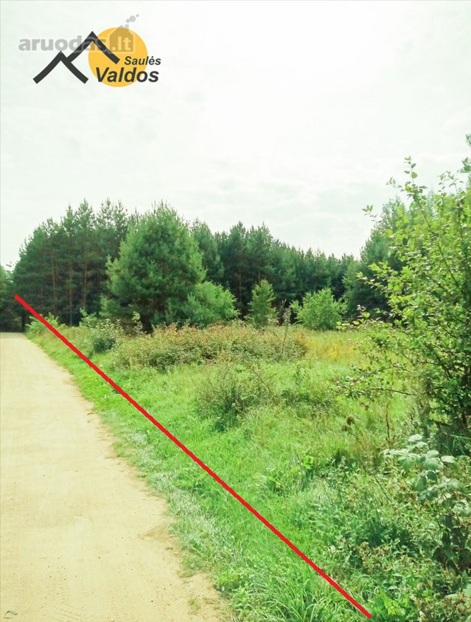 Parduodami sklypai šalia Pabradės m. ribos, - nuotraukos Nr. 3