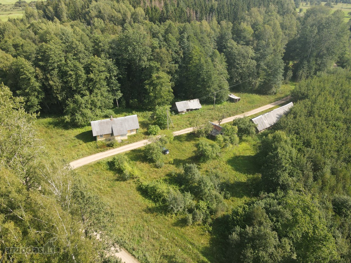Medinis Namas Asvejos Regioniniame Parke, - nuotraukos Nr. 22