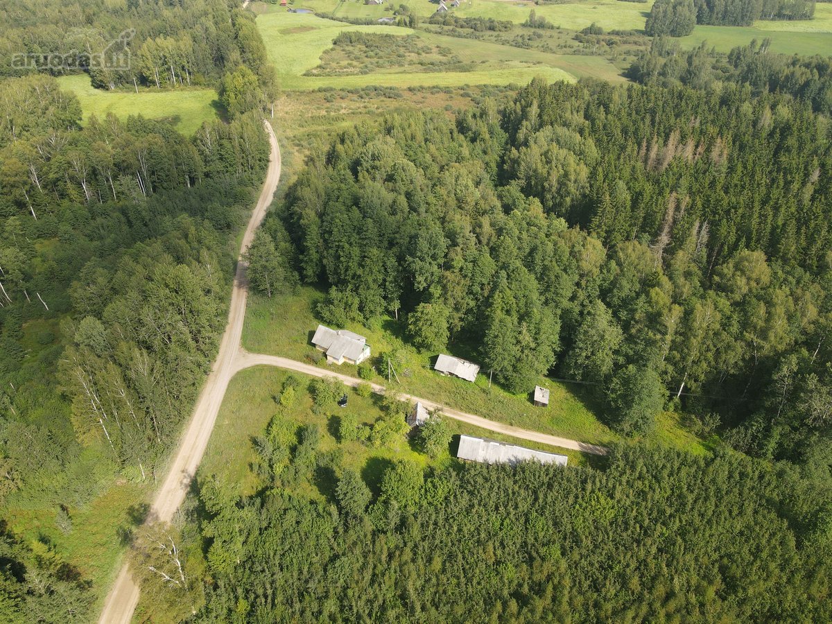 Medinis Namas Asvejos Regioniniame Parke, - nuotraukos Nr. 16