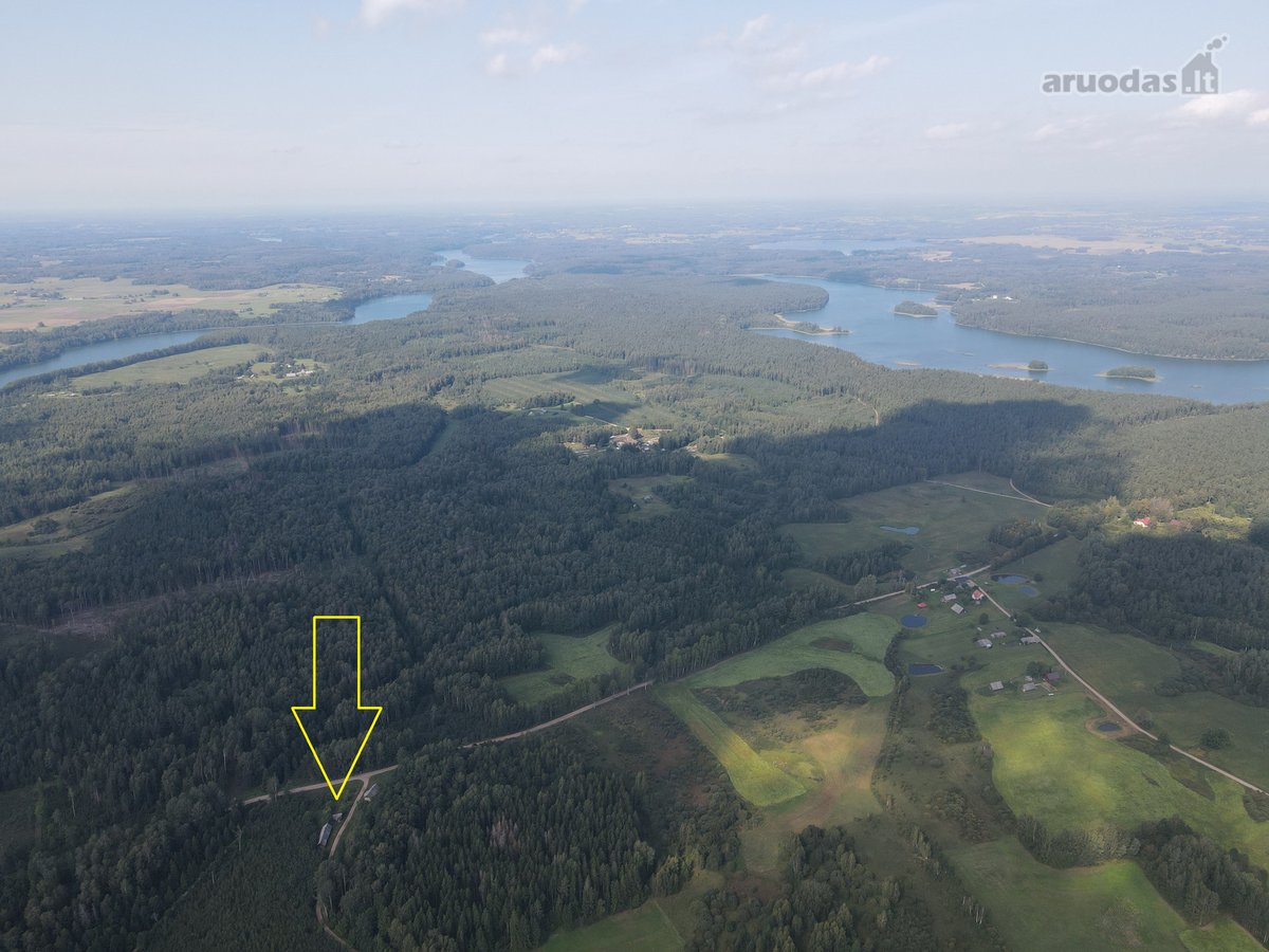 Medinis Namas Asvejos Regioniniame Parke, - nuotraukos Nr. 2