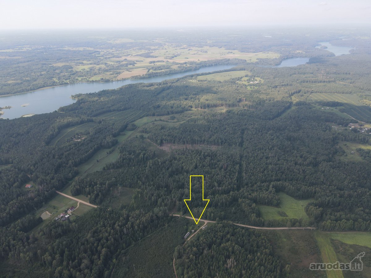 Medinis Namas Asvejos Regioniniame Parke, - nuotraukos Nr. 19