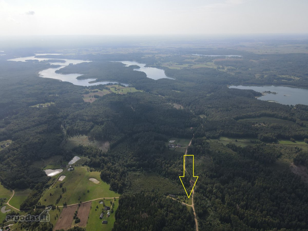 Medinis Namas Asvejos Regioniniame Parke, - nuotraukos Nr. 8