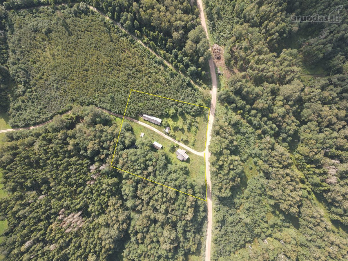Medinis Namas Asvejos Regioniniame Parke, - nuotraukos Nr. 7
