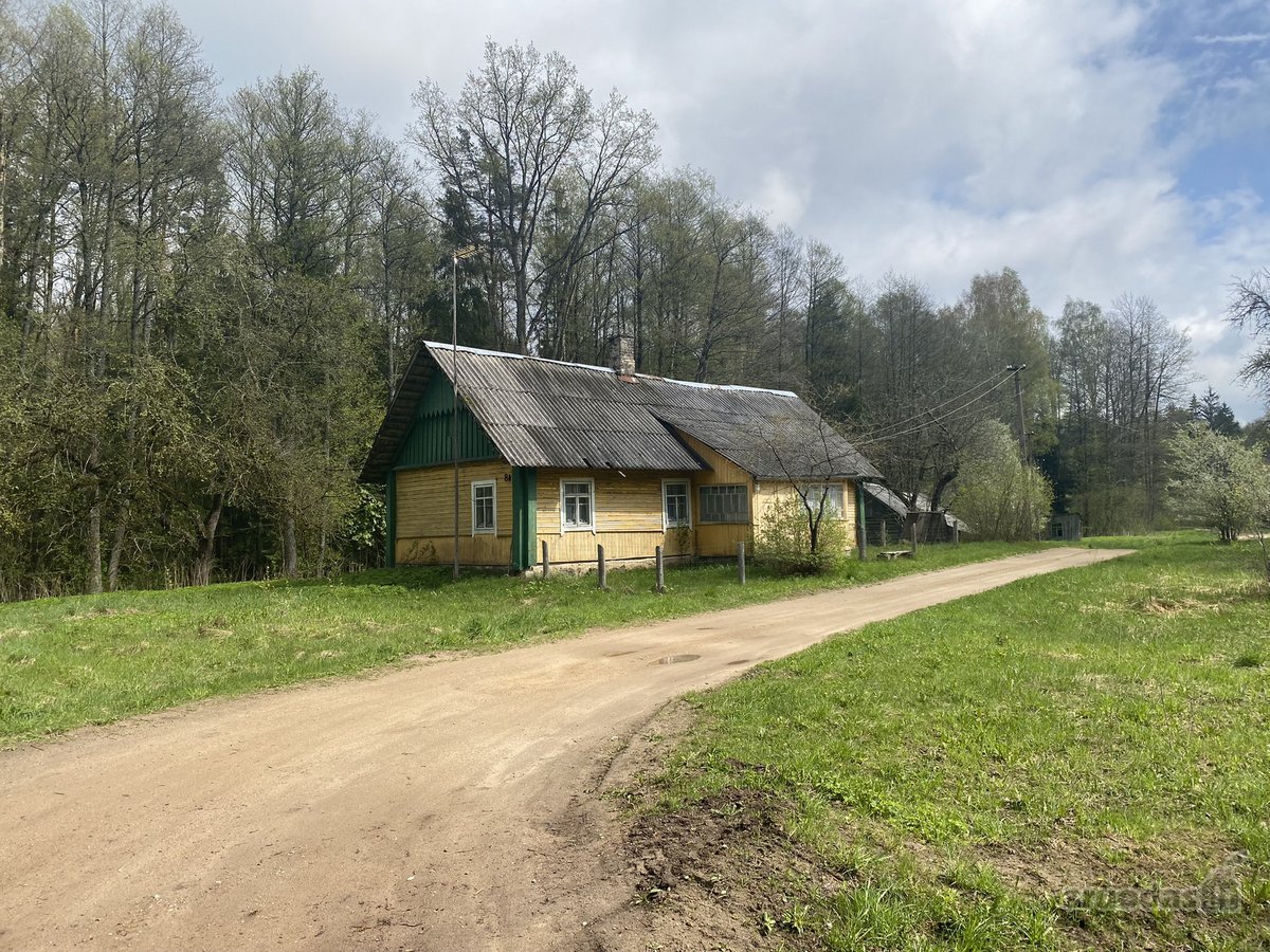 Medinis Namas Asvejos Regioniniame Parke, - nuotraukos Nr. 3