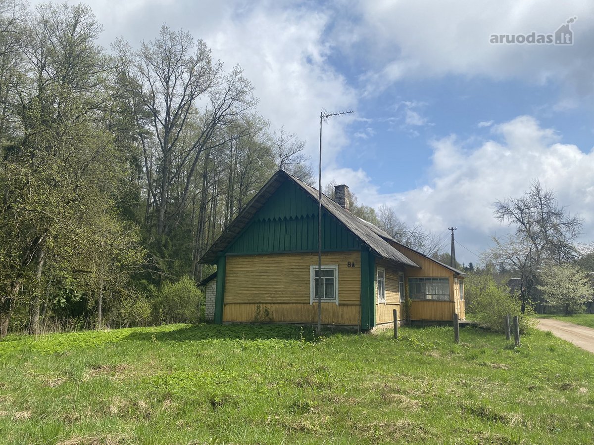 Medinis Namas Asvejos Regioniniame Parke, - nuotraukos Nr. 9