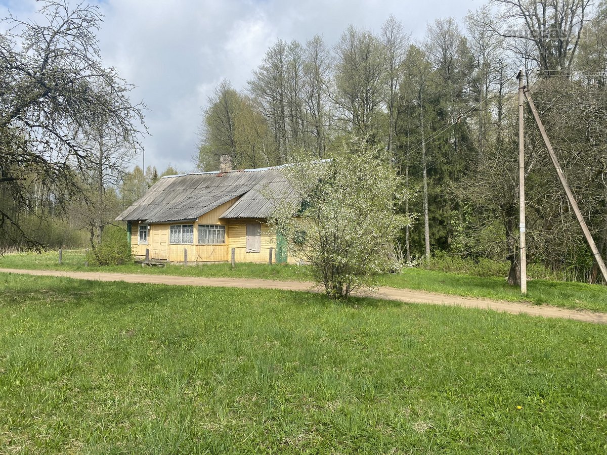 Medinis Namas Asvejos Regioniniame Parke, - nuotraukos Nr. 13