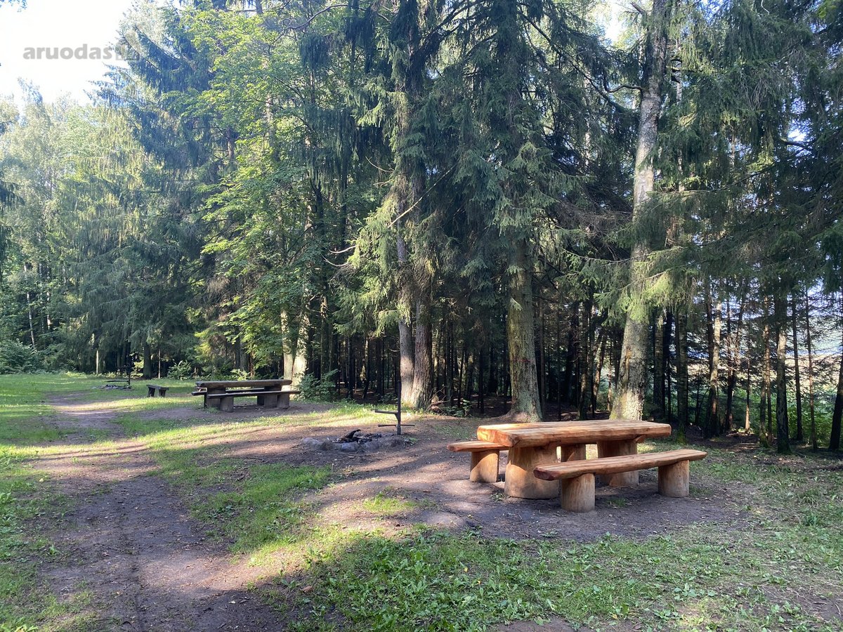 Medinis Namas Asvejos Regioniniame Parke, - nuotraukos Nr. 24