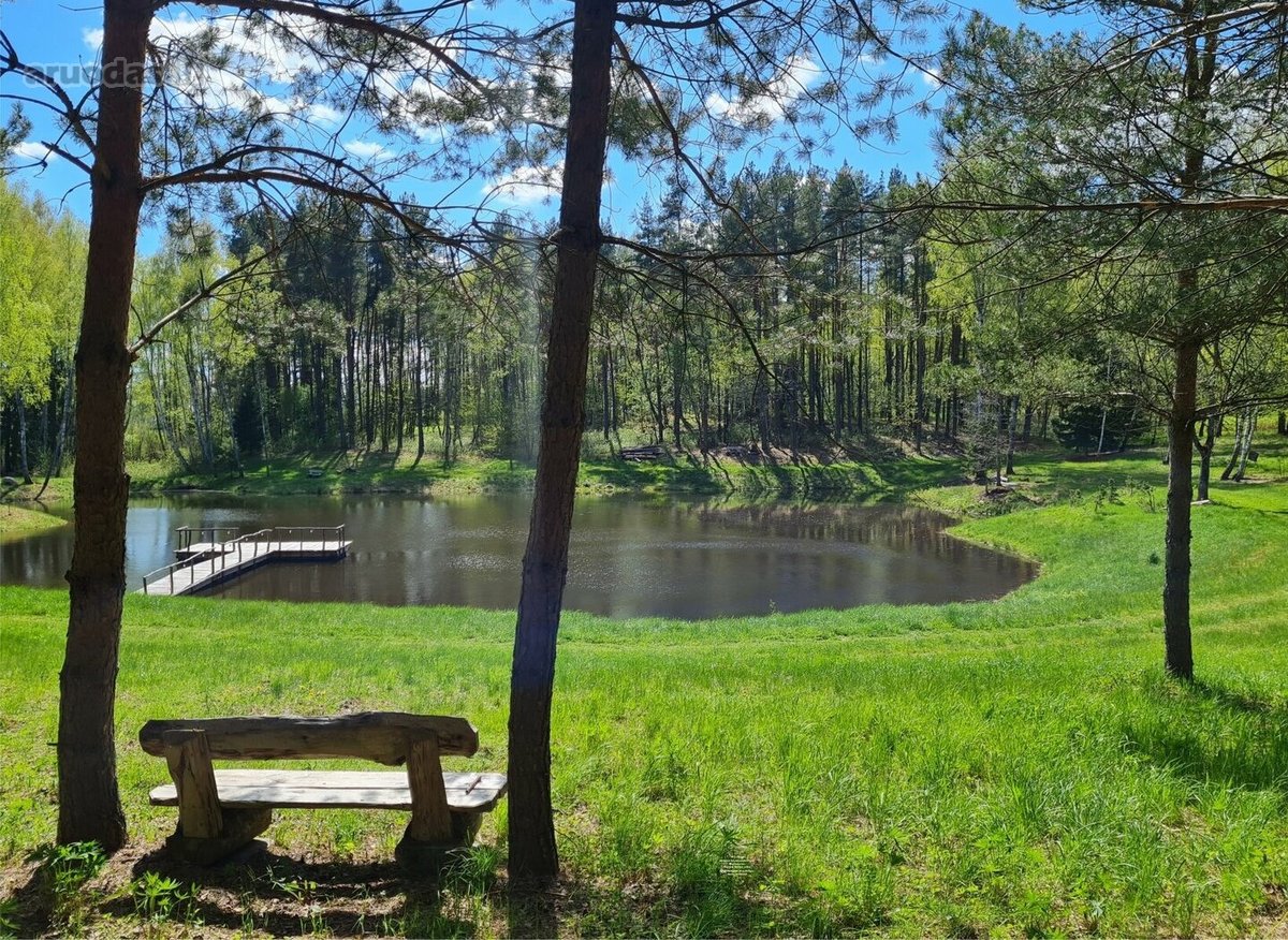Poilsis pušų apsuptyje – erdvė kūnui, protui - nuotraukos Nr. 9