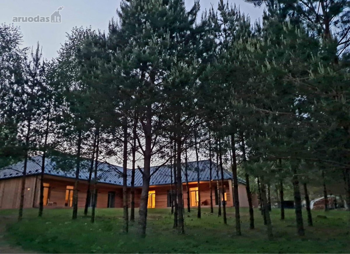 Poilsis pušų apsuptyje – erdvė kūnui, protui - nuotraukos Nr. 28