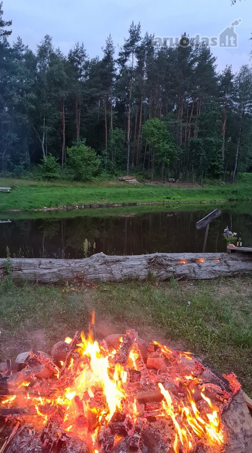 Poilsis pušų apsuptyje – erdvė kūnui, protui - nuotraukos Nr. 27