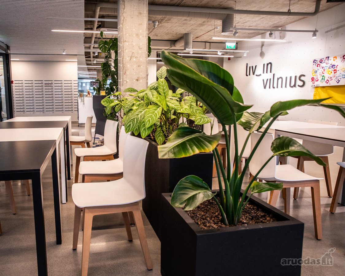 Suite tipo apartamentai: - nuotraukos Nr. 11