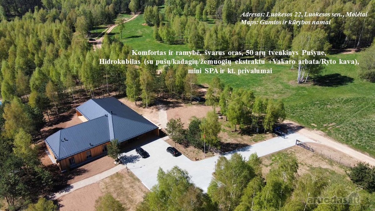 Poilsis pušų apsuptyje – erdvė kūnui, protui - nuotraukos Nr. 11