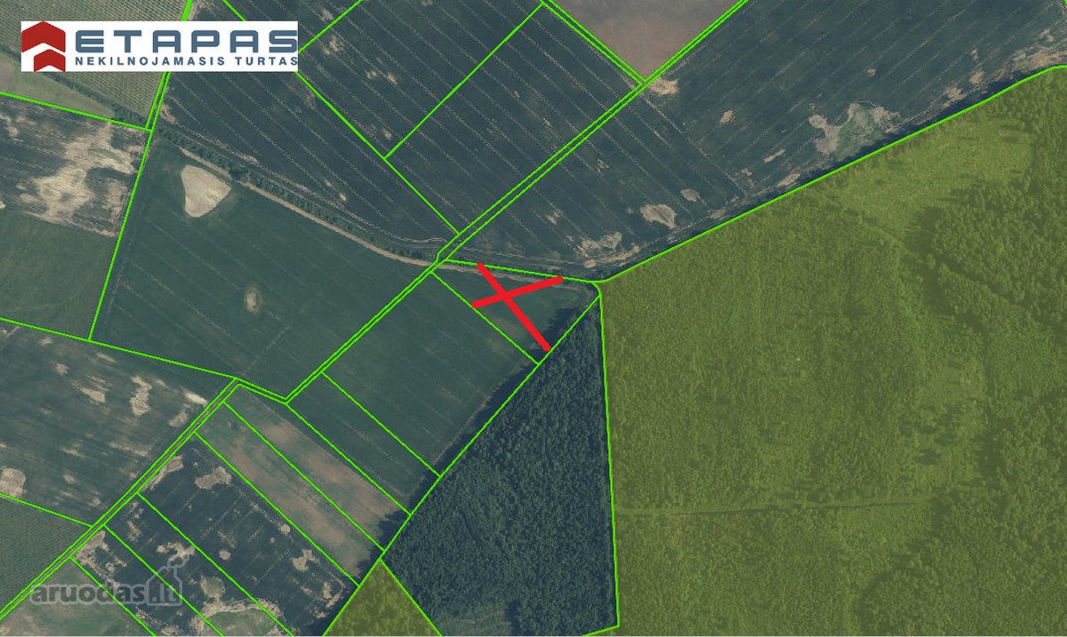 Parduodamas 1,54 Ha Žemės Sklypas, Geranorių - nuotraukos Nr. 2
