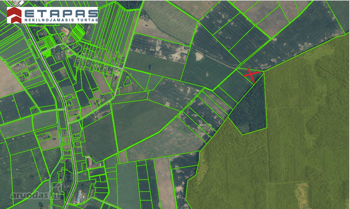Parduodamas 1,54 Ha Žemės Sklypas, Geranorių - nuotraukos Nr. 3