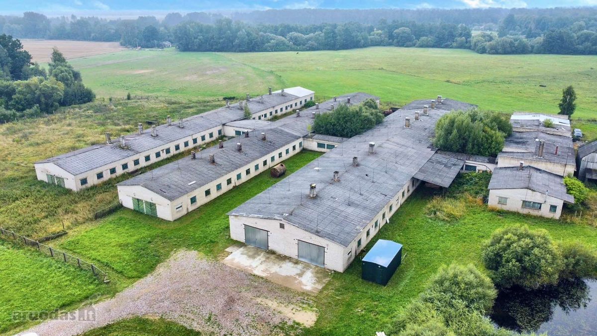 Šakių rajone, Baltrušių kaime parduodamos - nuotraukos Nr. 6