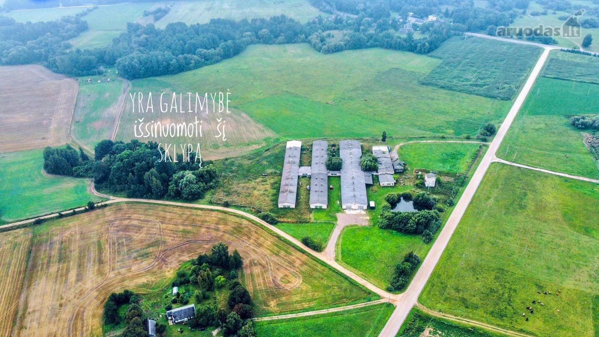 Šakių rajone, Baltrušių kaime parduodamos - nuotraukos Nr. 4