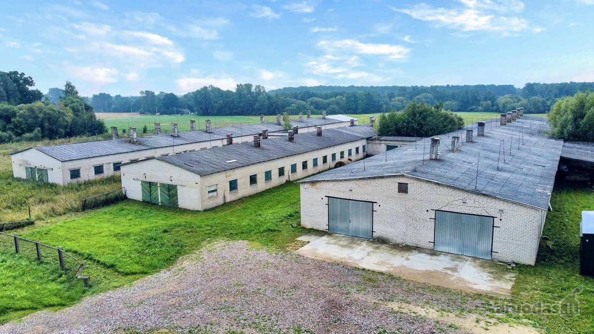 Šakių rajone, Baltrušių kaime parduodamos - nuotraukos Nr. 3