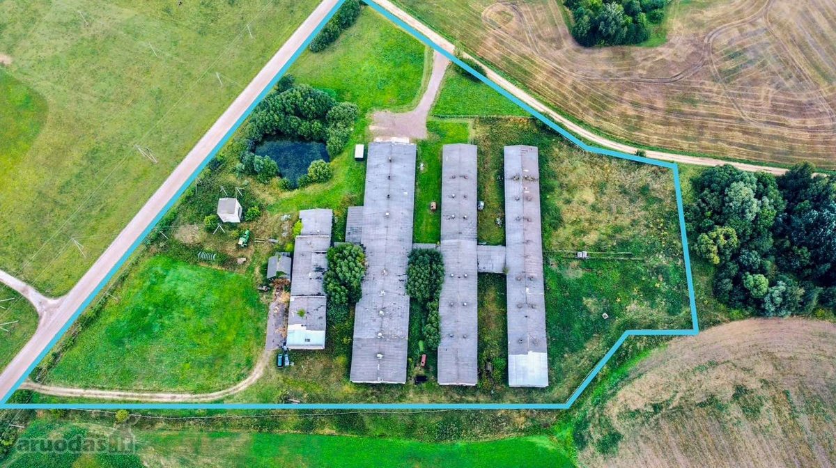 Šakių rajone, Baltrušių kaime parduodamos - nuotraukos Nr. 9