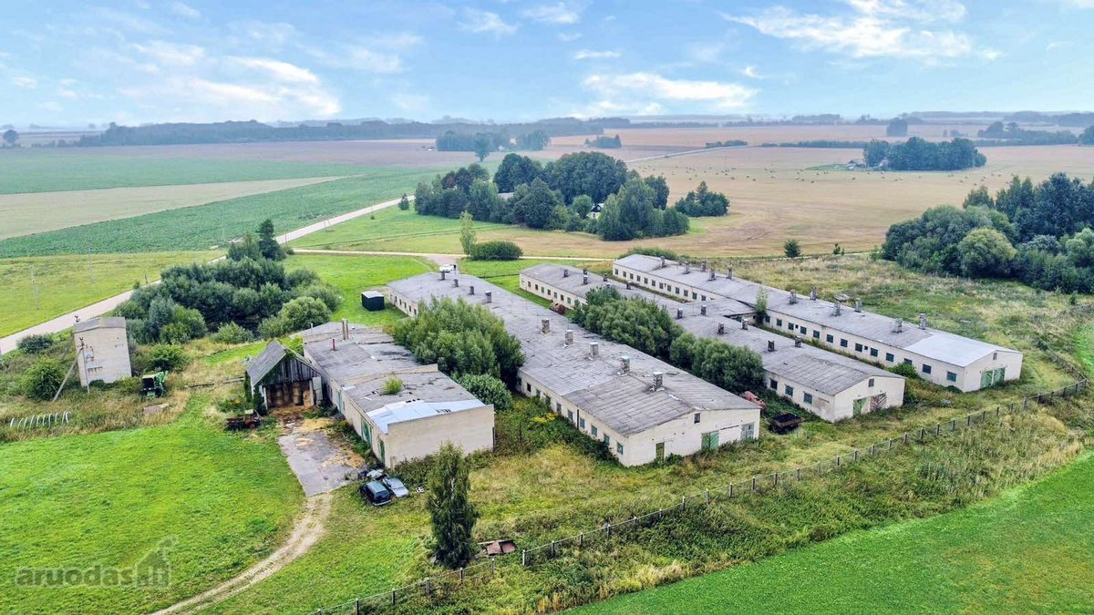 Šakių rajone, Baltrušių kaime parduodamos - nuotraukos Nr. 7