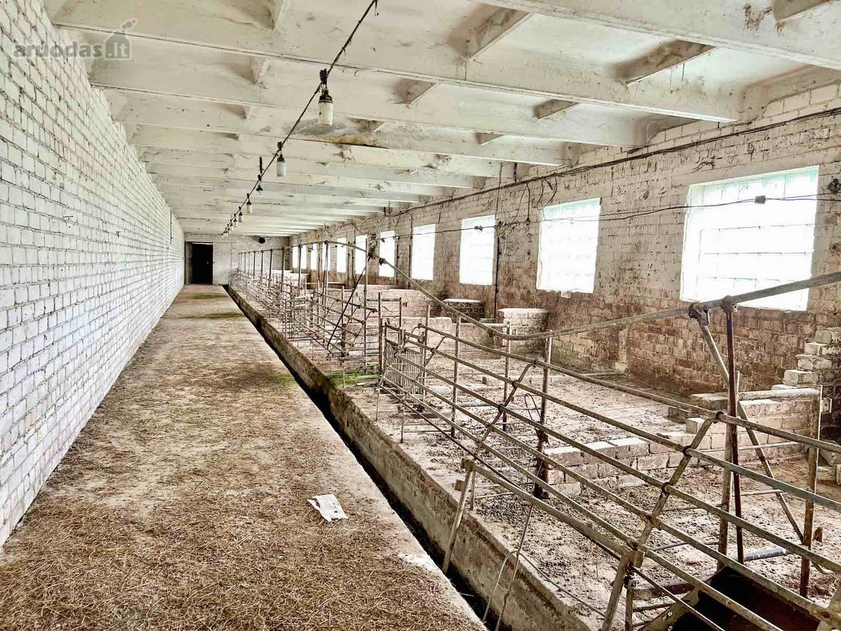 Šakių rajone, Baltrušių kaime parduodamos - nuotraukos Nr. 13