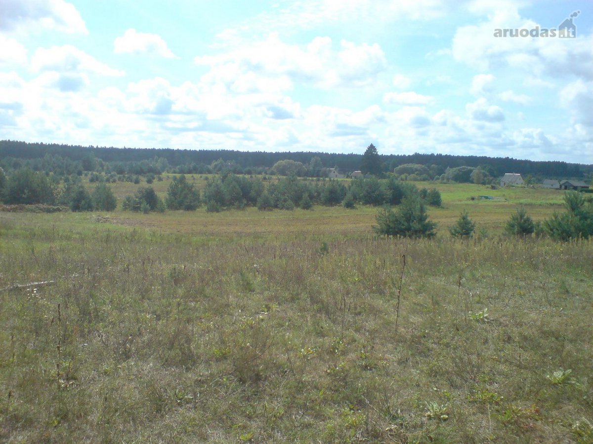 Parduodami du sklypai šalia Druskininkų ir - nuotraukos Nr. 4