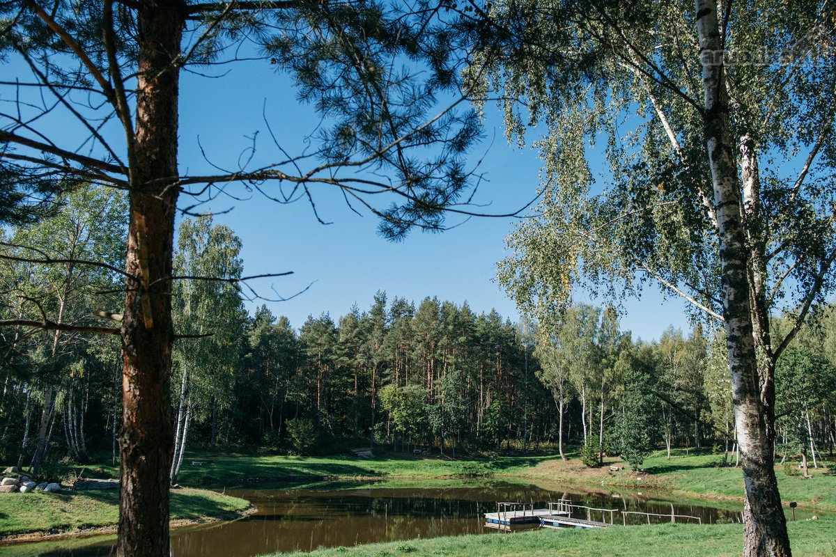 Poilsis pušų apsuptyje – erdvė kūnui, protui - nuotraukos Nr. 8