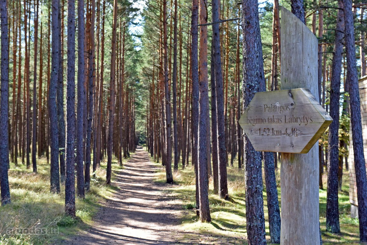 Nuo 2026 m. gruodžio mėn. išnuomojamas 3 - nuotraukos Nr. 8