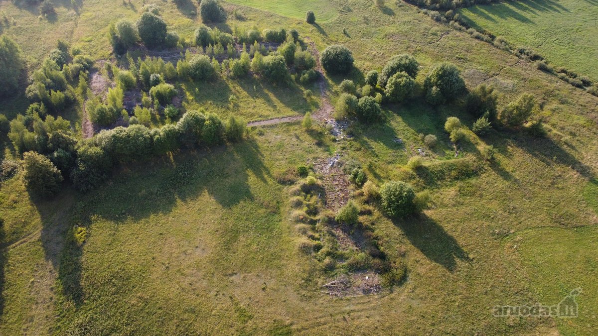 Parduodamas žemės ūkio paskirties sklypas - nuotraukos Nr. 3