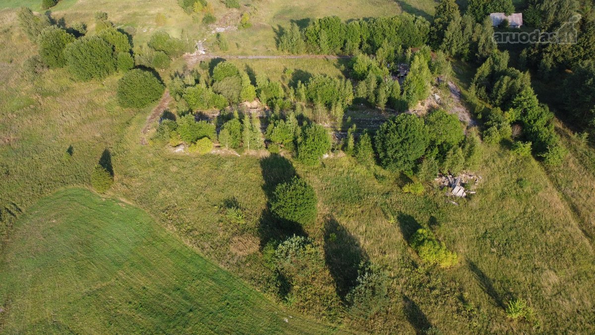 Parduodamas žemės ūkio paskirties sklypas - nuotraukos Nr. 6