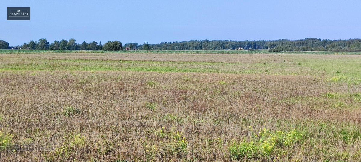 8,9 Ha Sklypas Prie Vilnius–panevėžys - nuotraukos Nr. 14