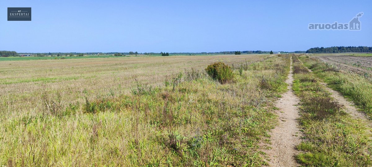 8,9 Ha Sklypas Prie Vilnius–panevėžys - nuotraukos Nr. 15