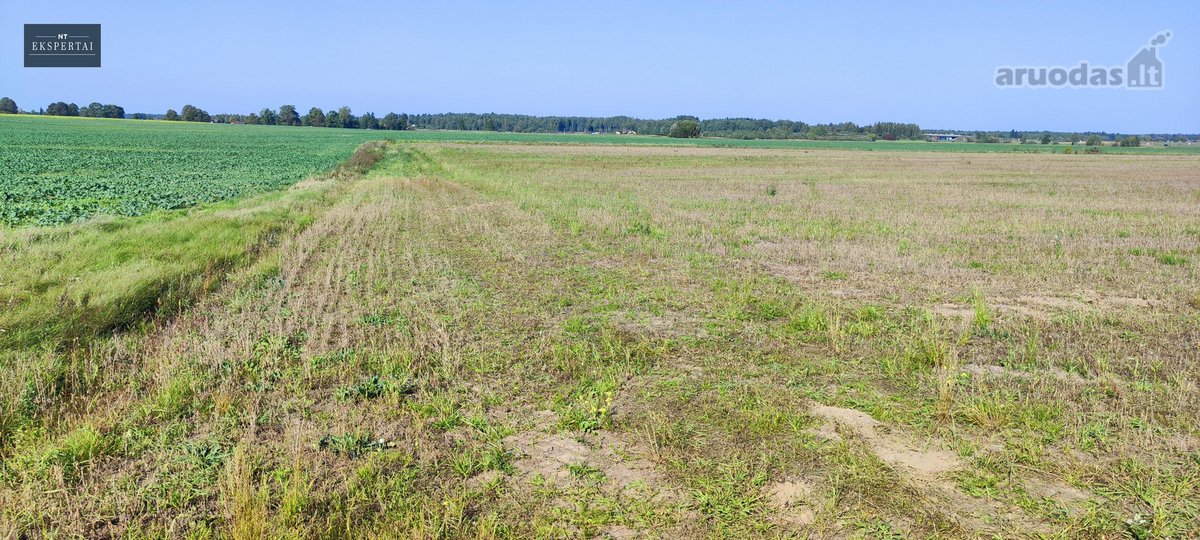 8,9 Ha Sklypas Prie Vilnius–panevėžys - nuotraukos Nr. 16