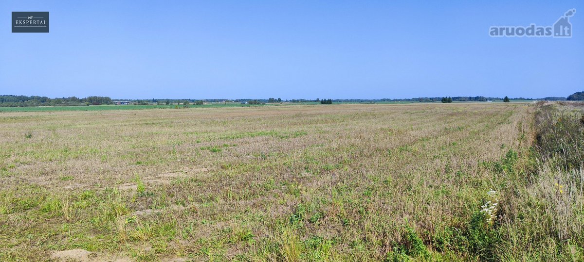 8,9 Ha Sklypas Prie Vilnius–panevėžys - nuotraukos Nr. 17