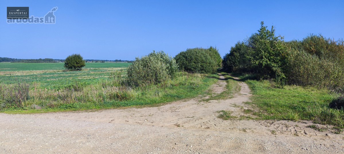 8,9 Ha Sklypas Prie Vilnius–panevėžys - nuotraukos Nr. 18
