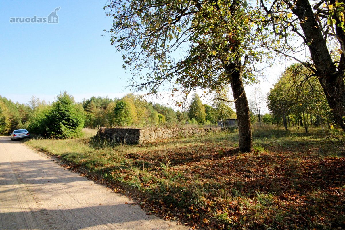 Labai gražioje vietoje, miško apsuptyje, - nuotraukos Nr. 2