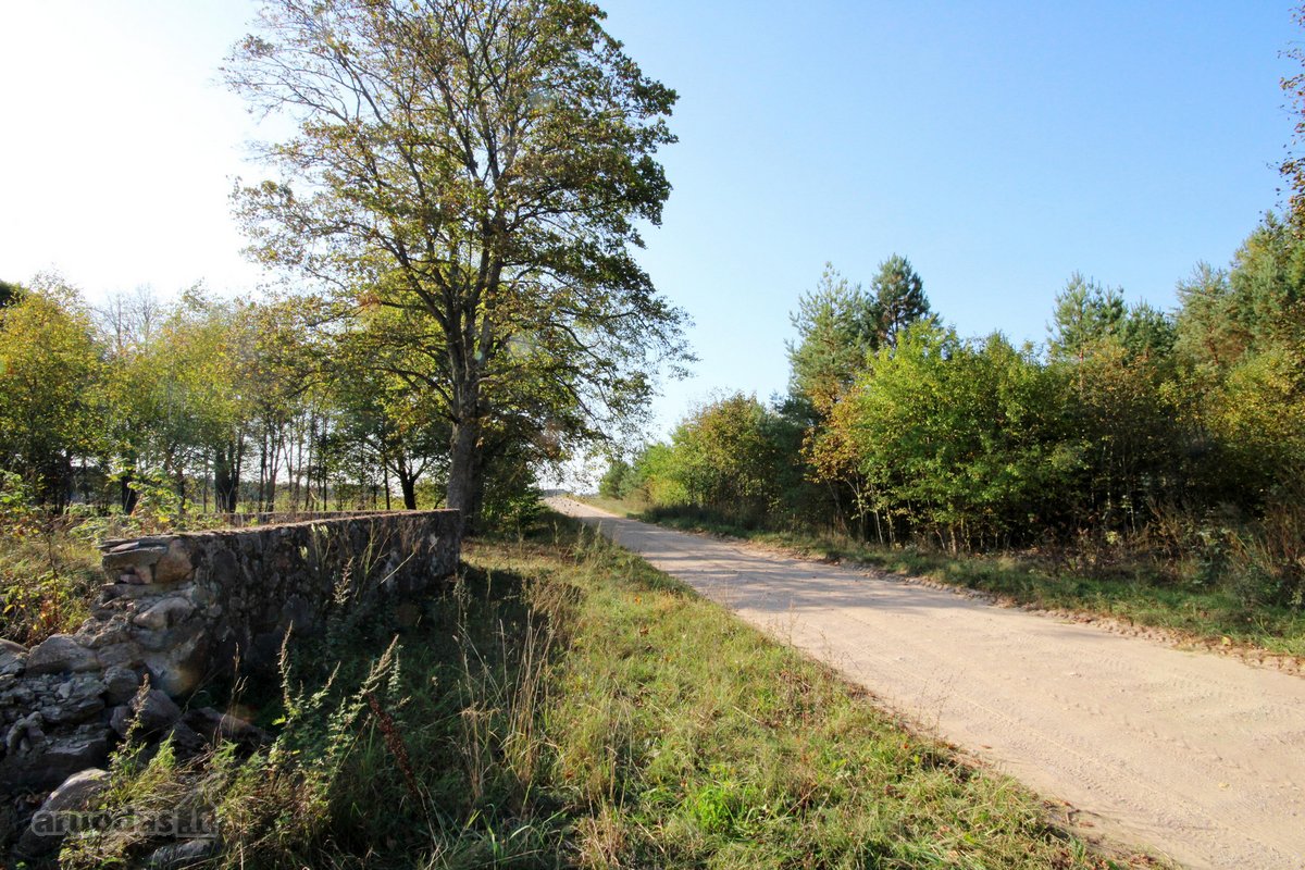 Labai gražioje vietoje, miško apsuptyje, - nuotraukos Nr. 16
