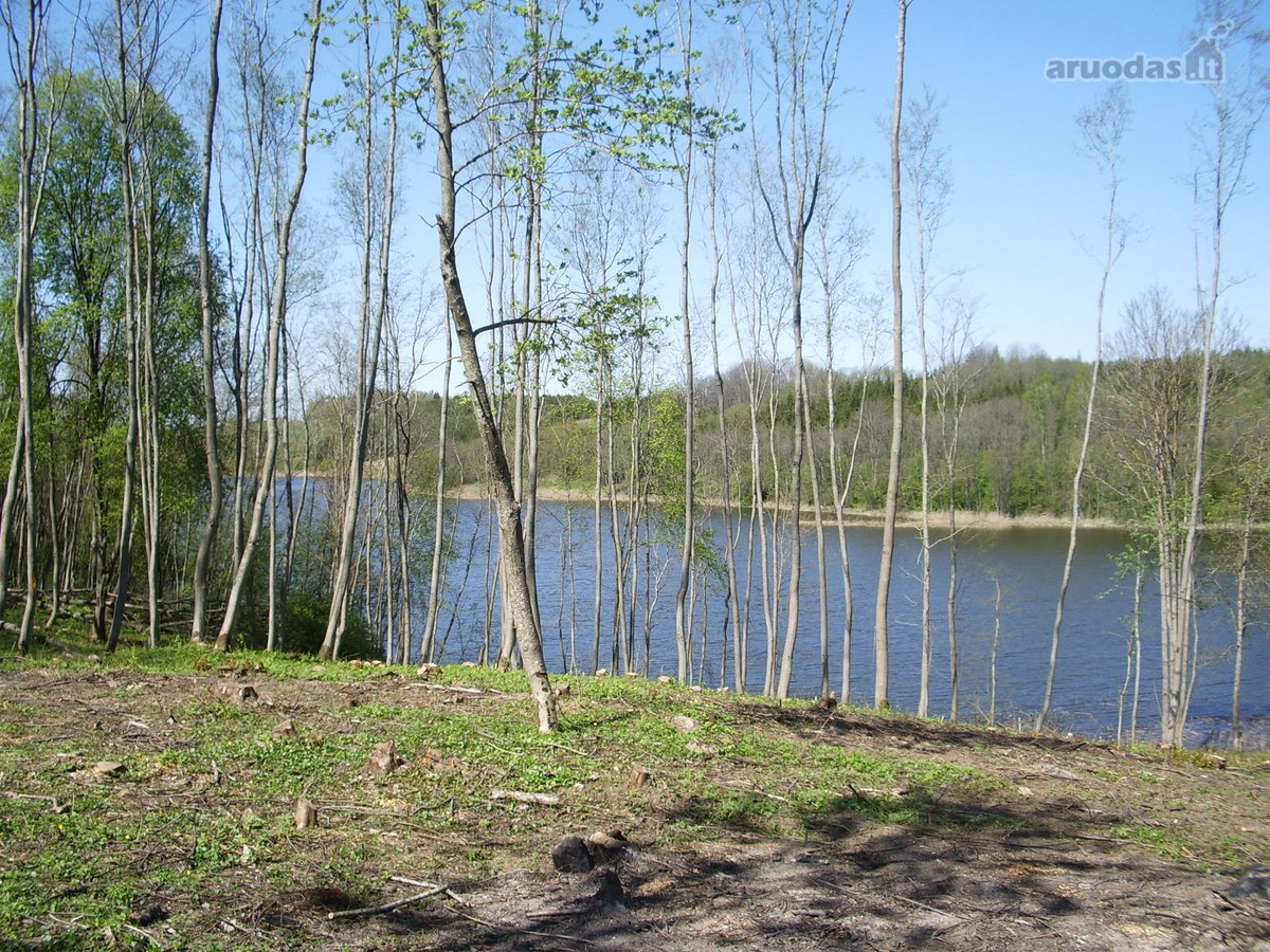 Išskirtinis rekreacinis sklypas ant Krūmiškių - nuotraukos Nr. 12
