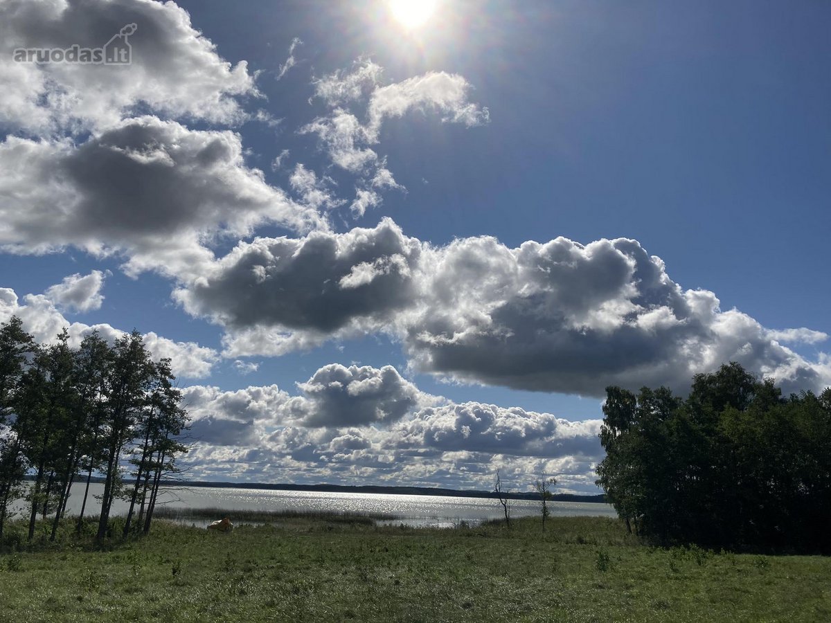 Parduodami du gretimi sklypai, 0,25ha namų - nuotraukos Nr. 4