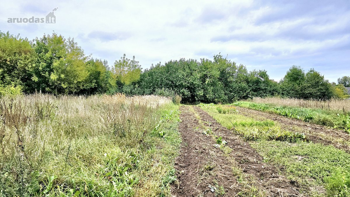 Parduodamas 0.1369 Ha Namų Valdos Sklypas - nuotraukos Nr. 4