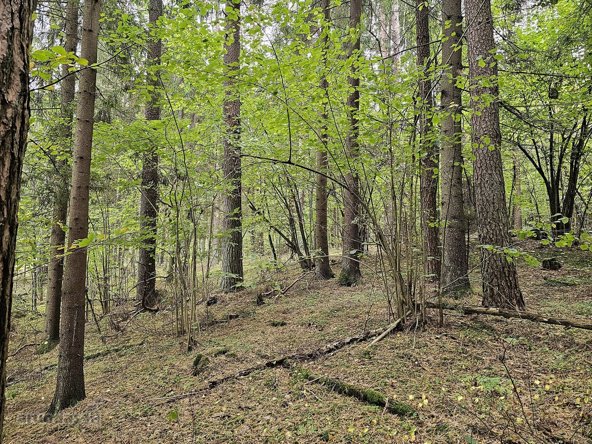 Parduodamas zemes sklypas ypatingoje vietoje. - nuotraukos Nr. 15