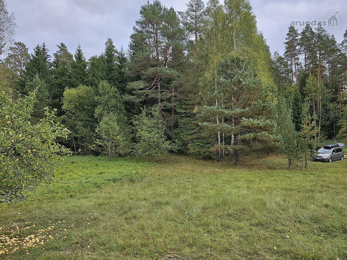 Parduodamas zemes sklypas ypatingoje vietoje. - nuotraukos Nr. 16