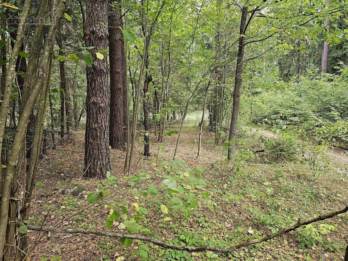 Parduodamas zemes sklypas ypatingoje vietoje. - nuotraukos Nr. 17