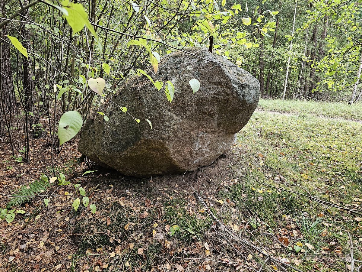 Parduodamas zemes sklypas ypatingoje vietoje. - nuotraukos Nr. 19