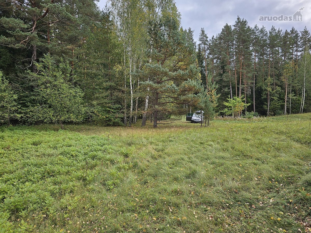 Parduodamas zemes sklypas ypatingoje vietoje. - nuotraukos Nr. 23