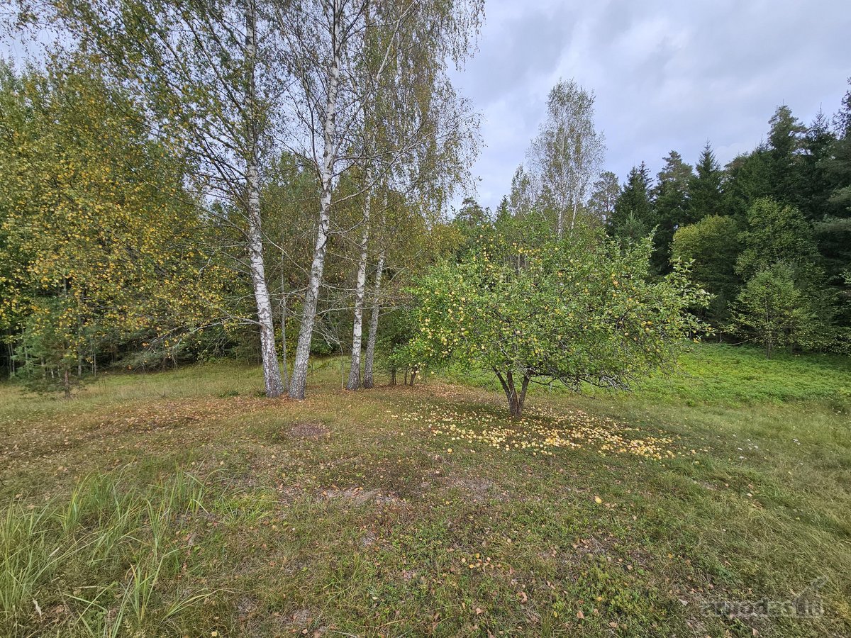 Parduodamas zemes sklypas ypatingoje vietoje. - nuotraukos Nr. 28