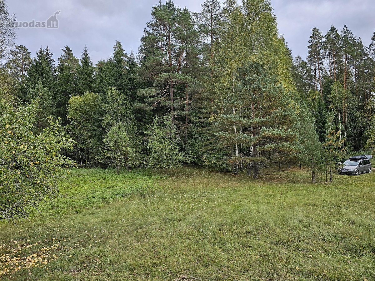 Parduodamas zemes sklypas ypatingoje vietoje. - nuotraukos Nr. 33