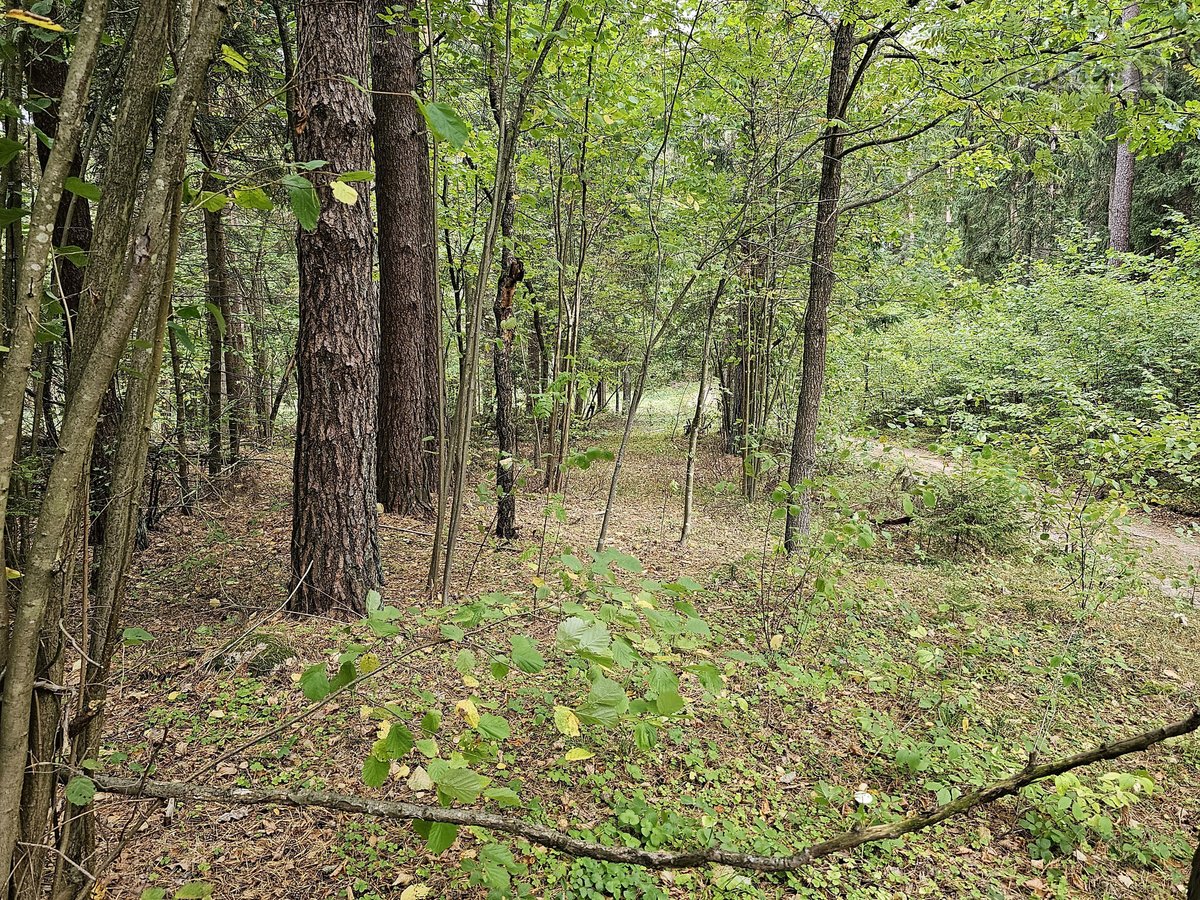 Parduodamas zemes sklypas ypatingoje vietoje. - nuotraukos Nr. 34