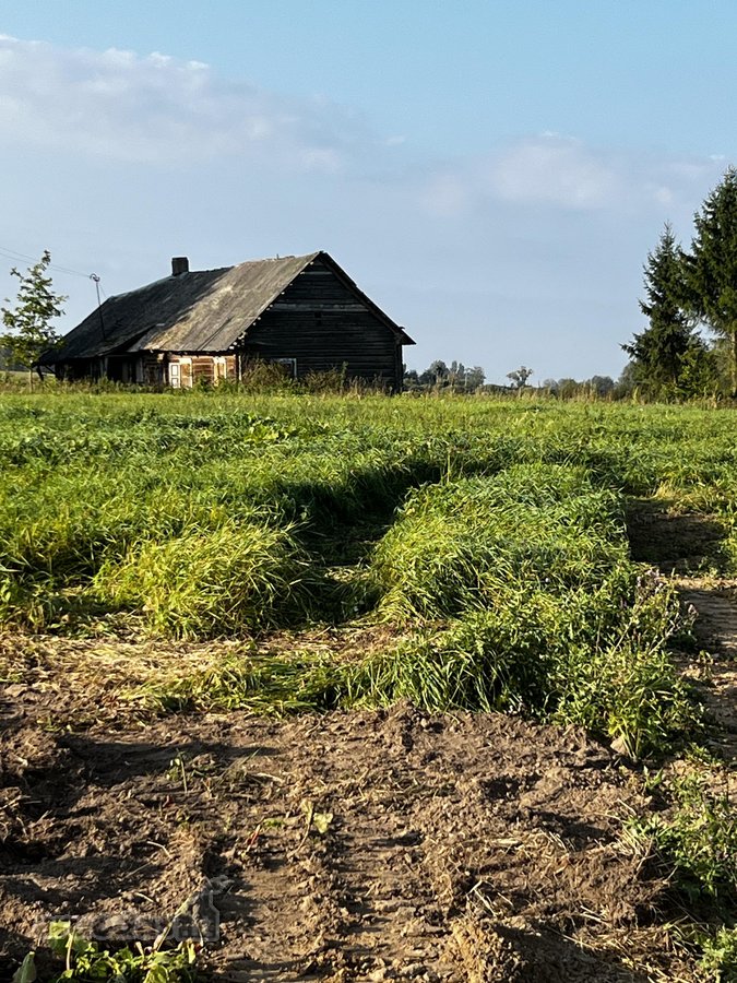 Parduodamos Dvi Sodybos 6 Ha Žemės Sklypuose - nuotraukos Nr. 18