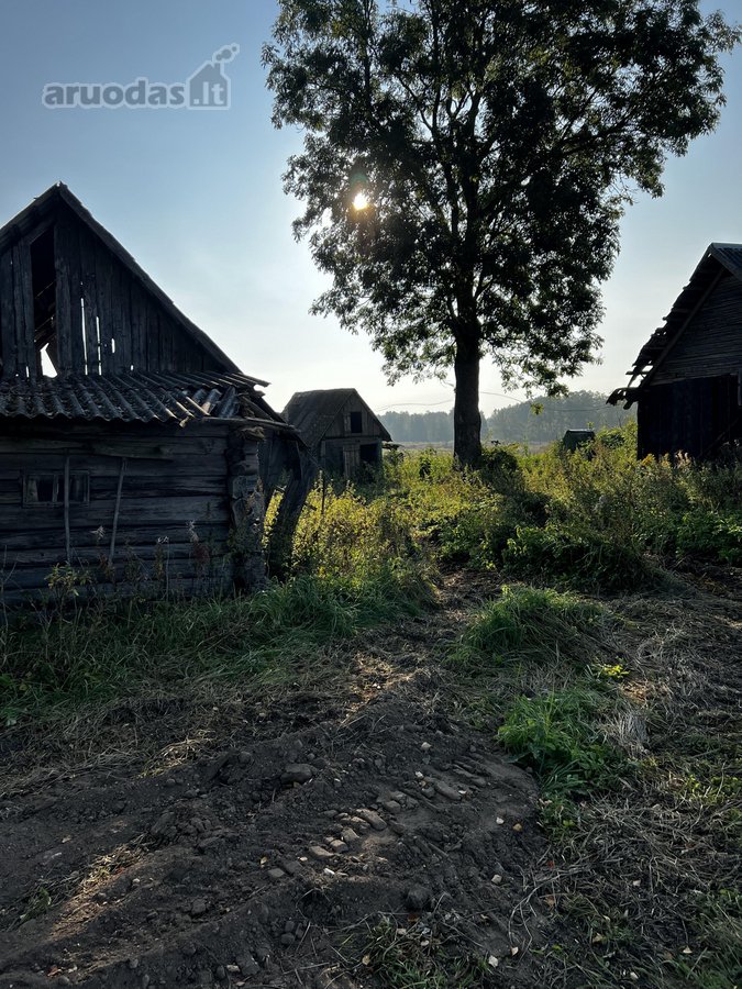 Parduodamos Dvi Sodybos 6 Ha Žemės Sklypuose - nuotraukos Nr. 20