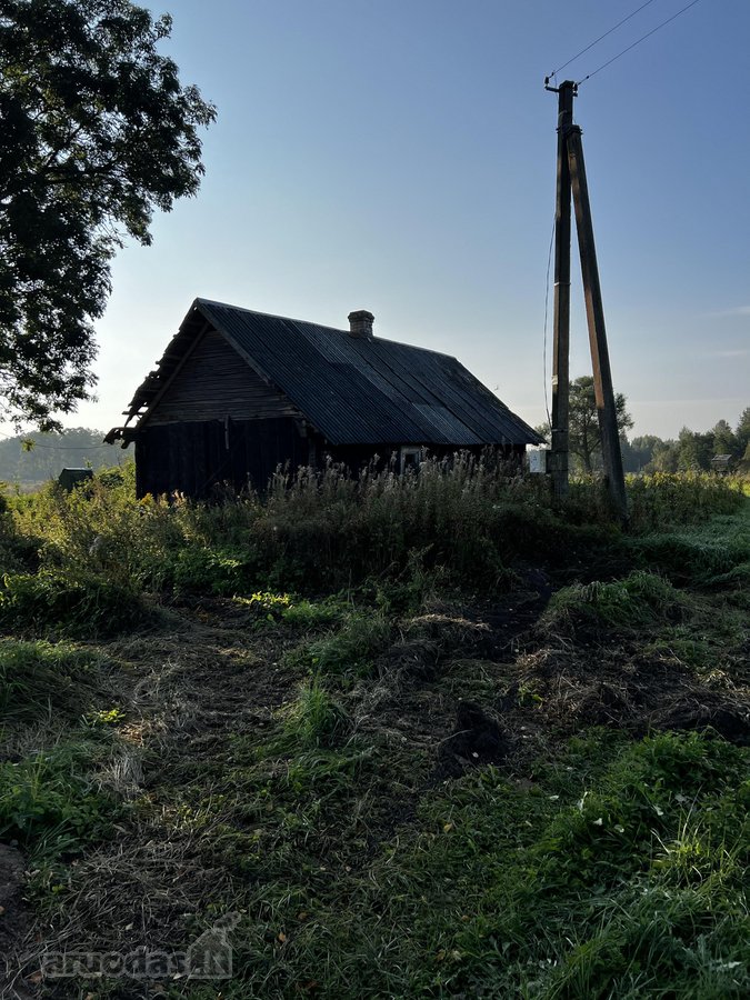 Parduodamos Dvi Sodybos 6 Ha Žemės Sklypuose - nuotraukos Nr. 21